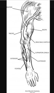 Right Arm Movements 